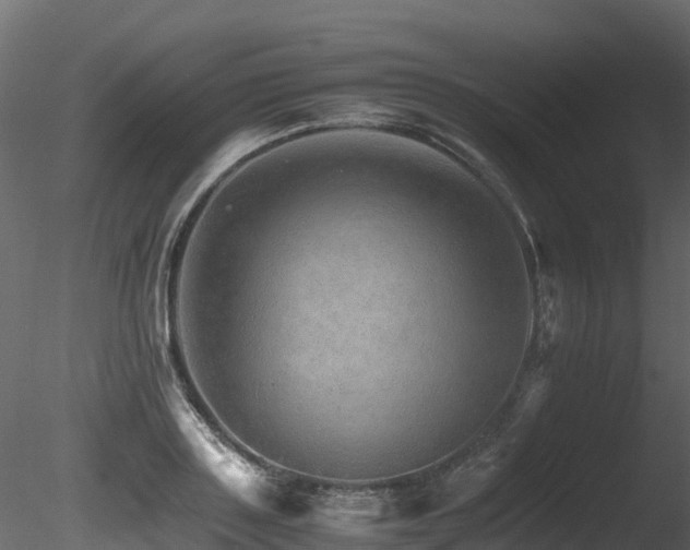 X0000085840843200703161349