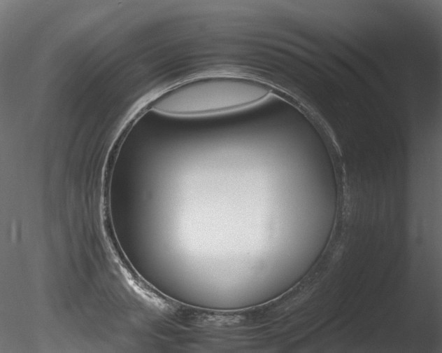 X0000085840845200703161349