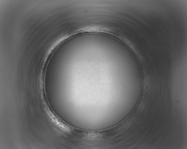 X0000085840848200703161349
