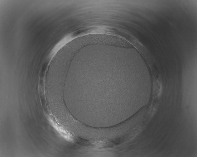X0000085840854200703161349