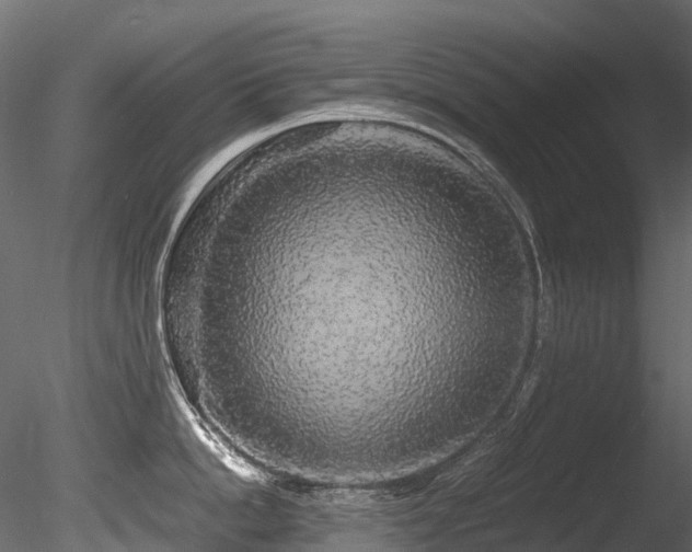 X0000085840862200703161349