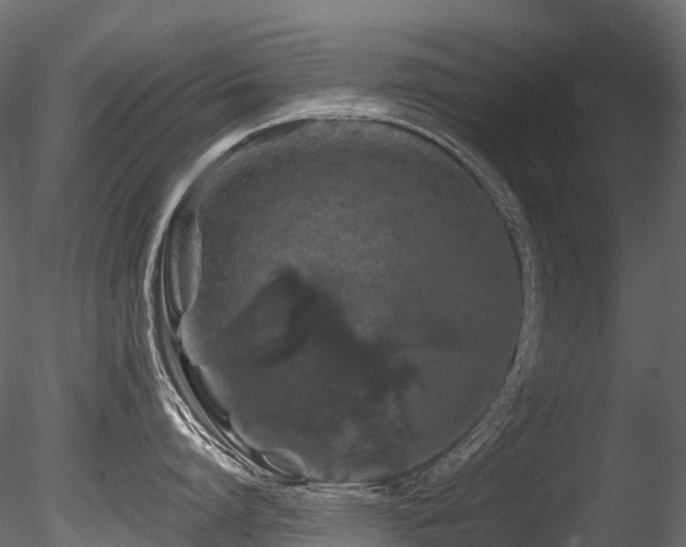 X0000085840864200703161349