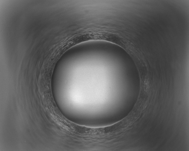 X0000085840865200703161348