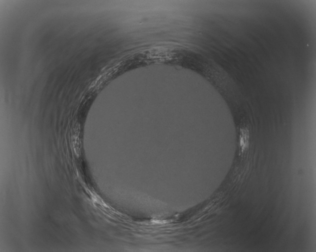 X0000085840867200703161348