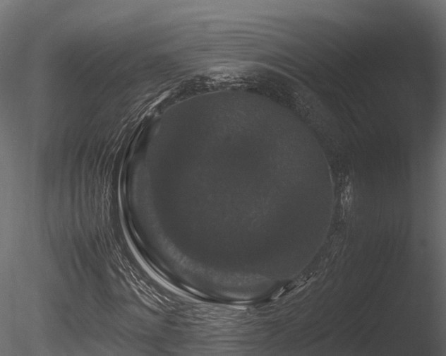 X0000085840868200703161348