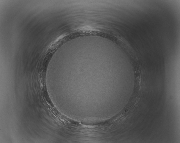 X0000085840870200703161348