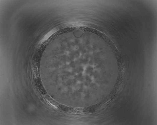 X0000085840871200703161348