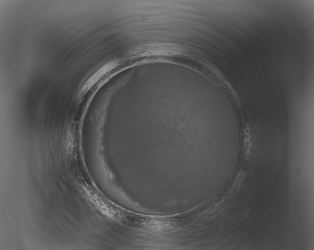 X0000085840874200703161348