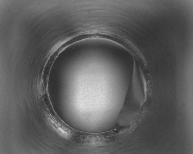 X0000085840876200703161348