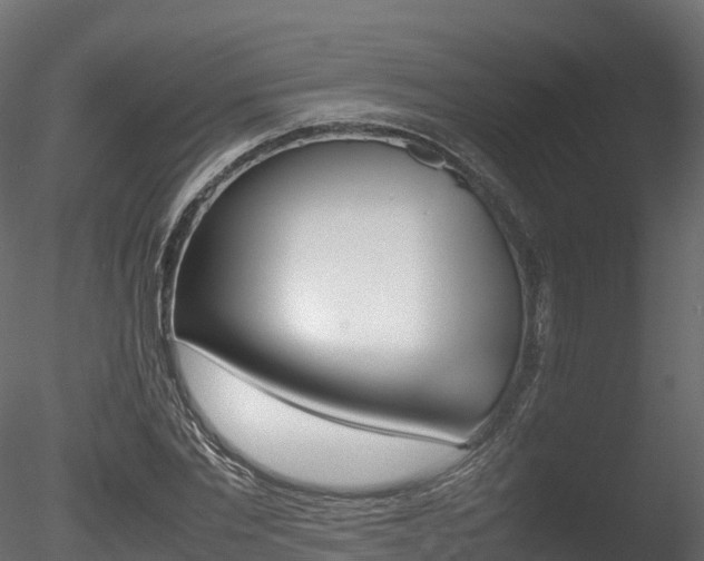 X0000085840877200703161348