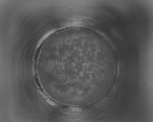 X0000085840878200703161348