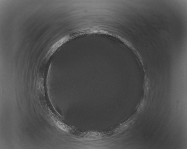 X0000085840881200703161348
