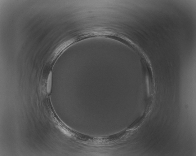 X0000085840889200703161348