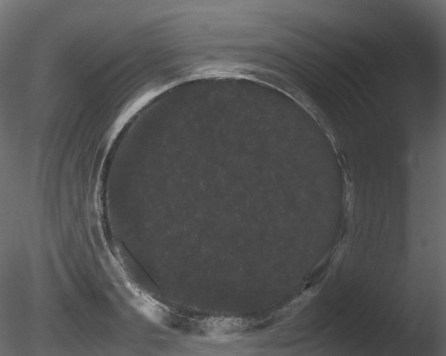 X0000085840893200703161348