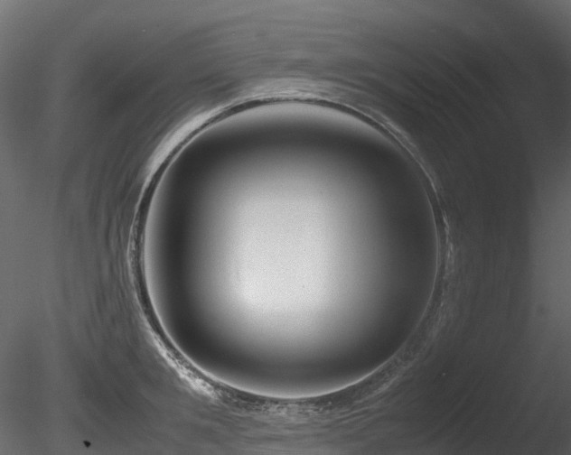 X0000085840901200703161347