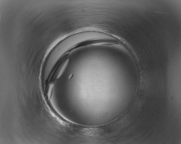 X0000085840902200703161347