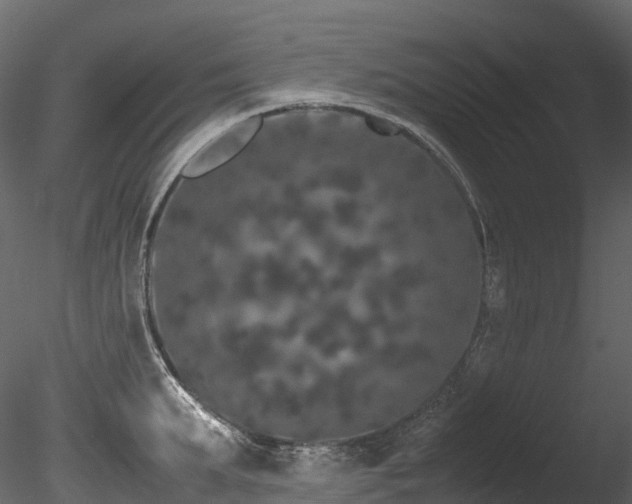X0000085840903200703161347