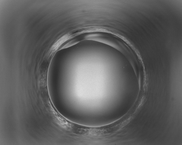 X0000085840905200703161347