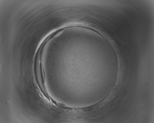 X0000085840912200703161347