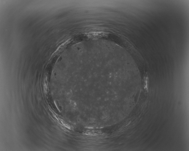X0000085840915200703161346