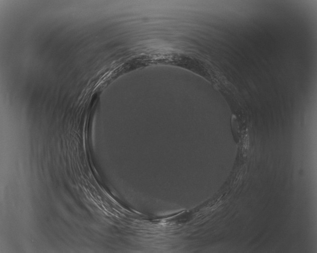 X0000085840916200703161346
