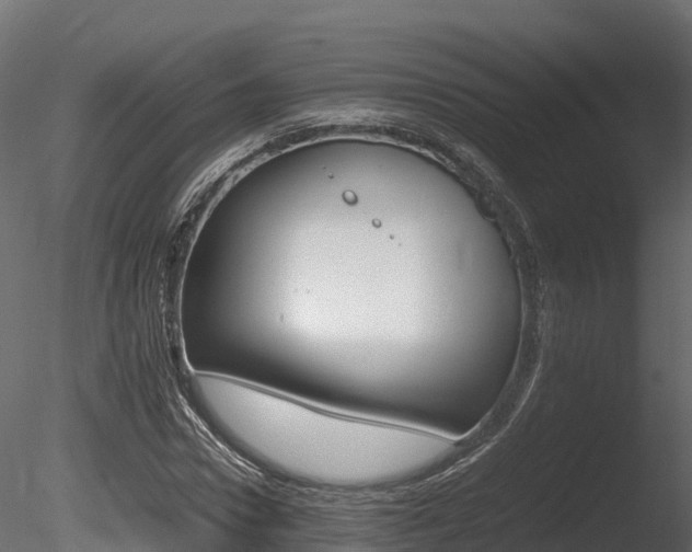 X0000085840922200703161347