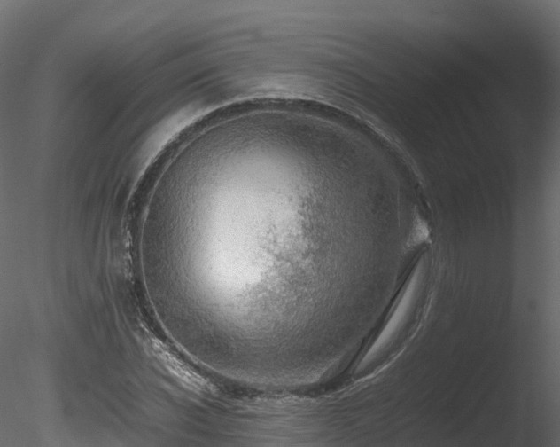 X0000085840926200703161347