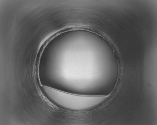 X0000085840928200703161347