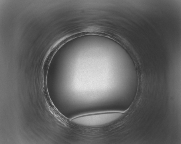 X0000085840931200703161347