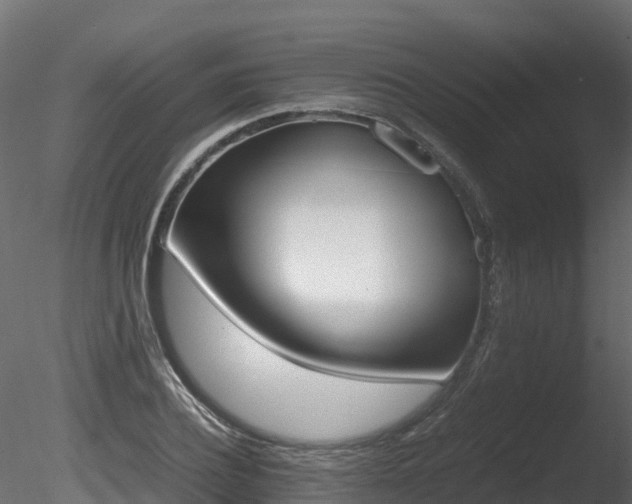X0000085840932200703161347