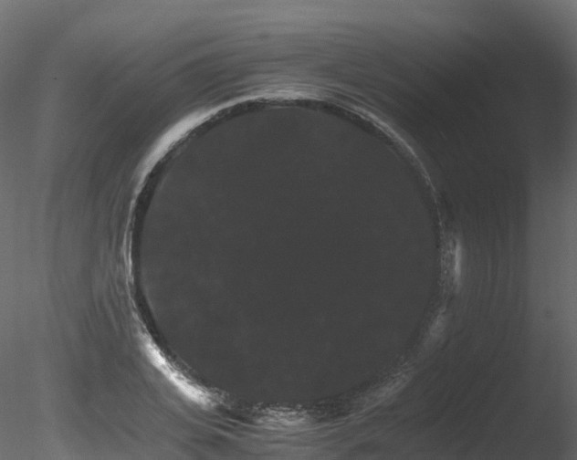 X0000085840935200703161347