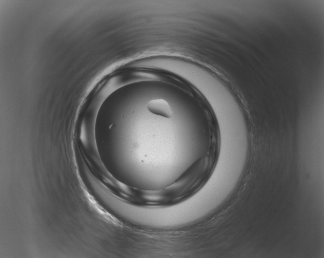 X0000085840942200703161347