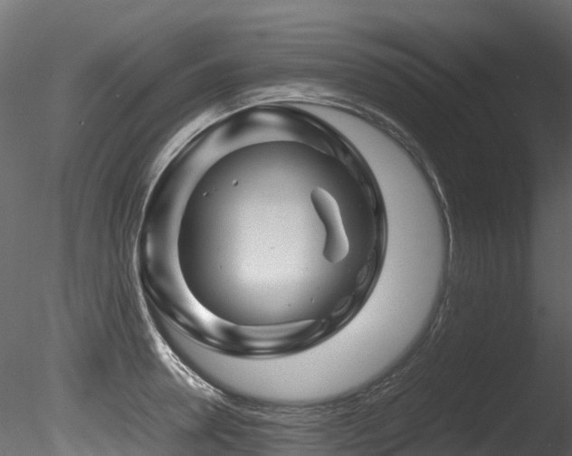 X0000085840946200703161347