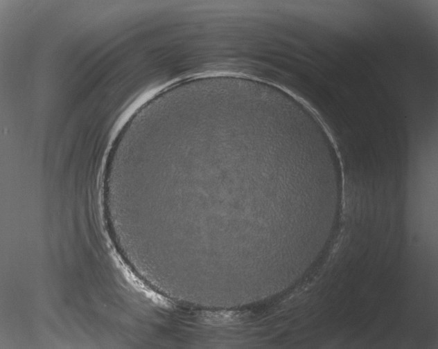 X0000085840949200703161347