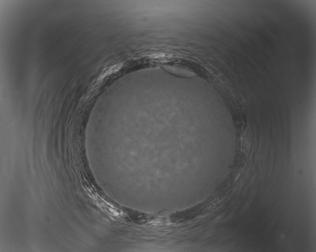 X0000085840961200703161346