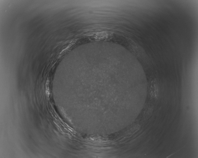 X0000085840962200703161346