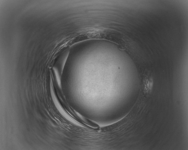 X0000085840964200703161346