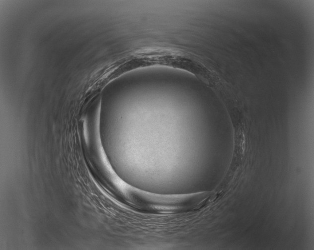 X0000085840965200703161346