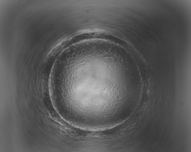 X0000085840967200703161346