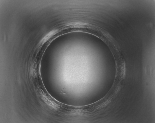 X0000085840970200703161346