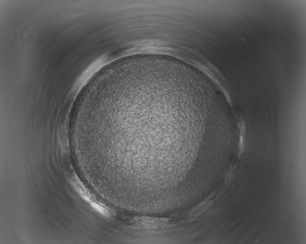 X0000085840972200703161346