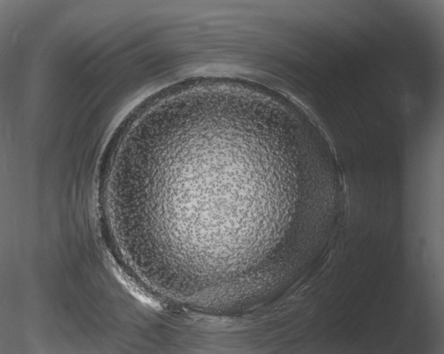 X0000085840976200703161346