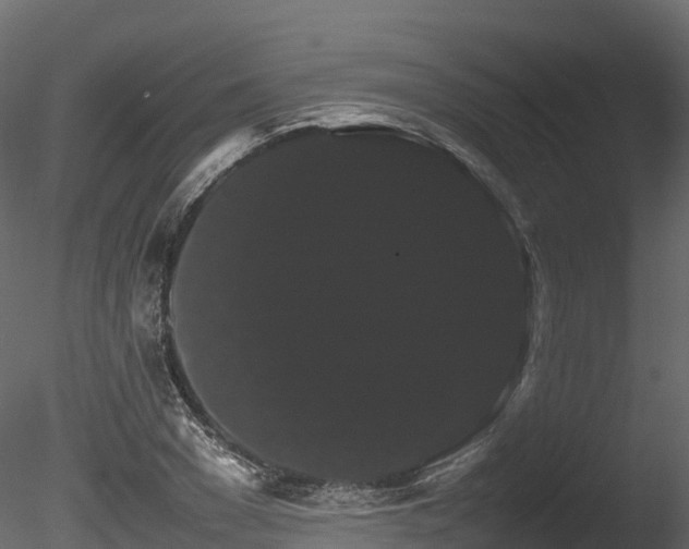 X0000085840977200703161346