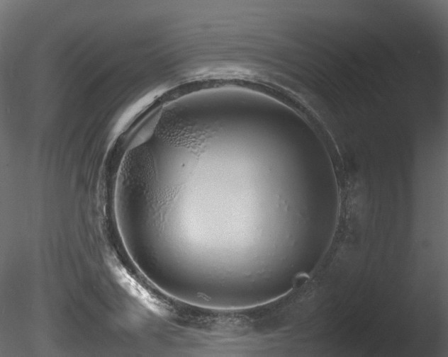 X0000085840979200703161346