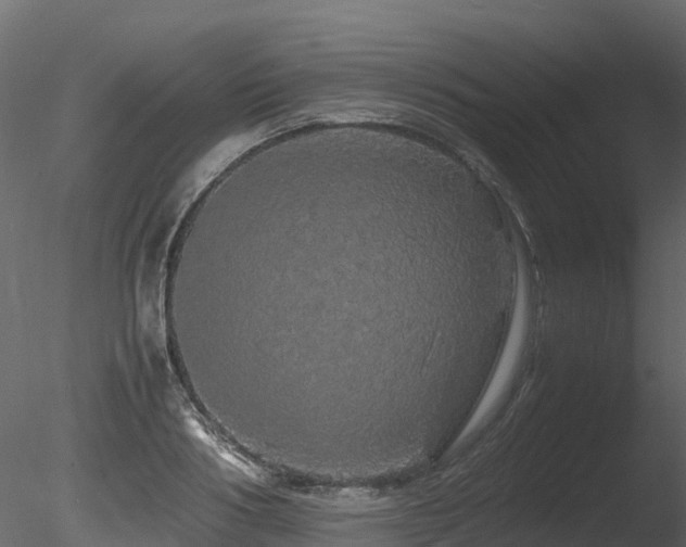 X0000085840986200703161346