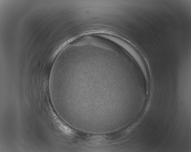 X0000085840993200703161346