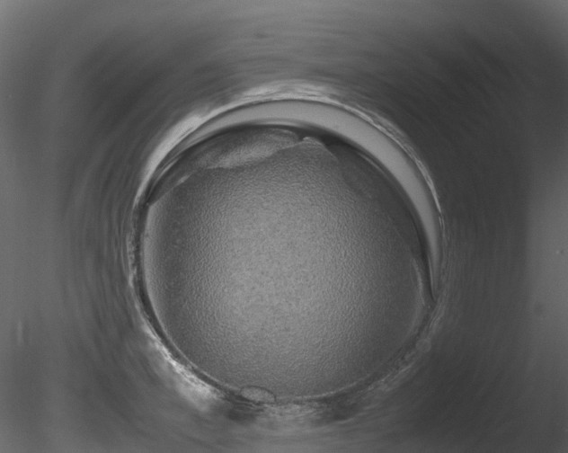 X0000085840997200703161346