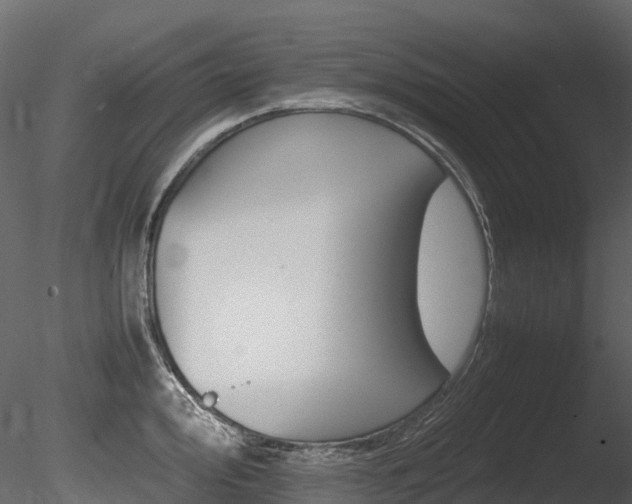 X0000085841000200703161346