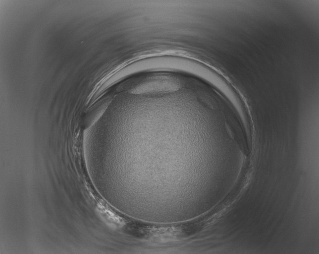 X0000085841001200703161346