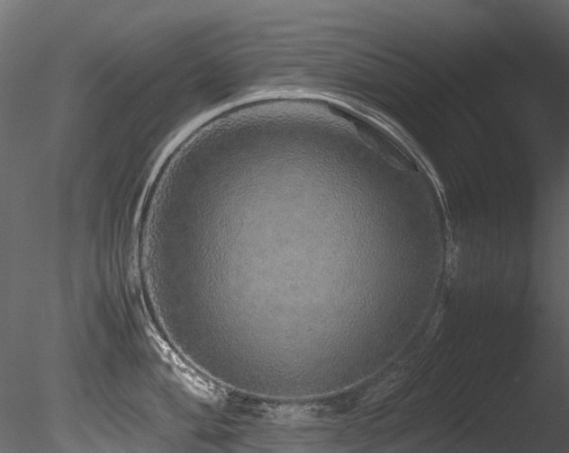 X0000085841004200703161346